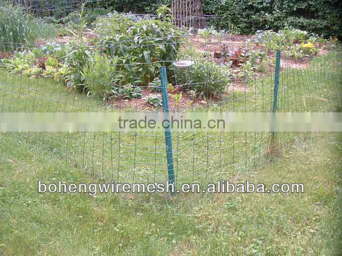 AnPing BoHeng Chicken Wire Mesh