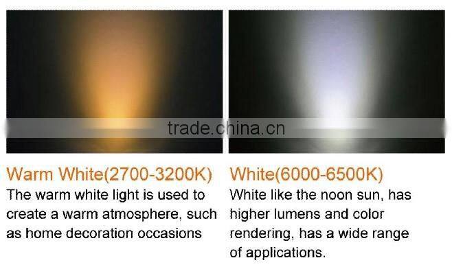 LED down light 3W professional light