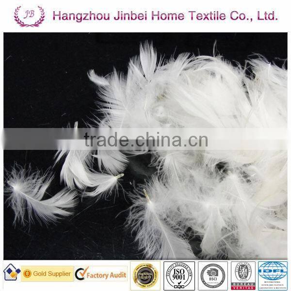 2-4CM WASHED WHITE DUCK FEATHER FOR SELLING!