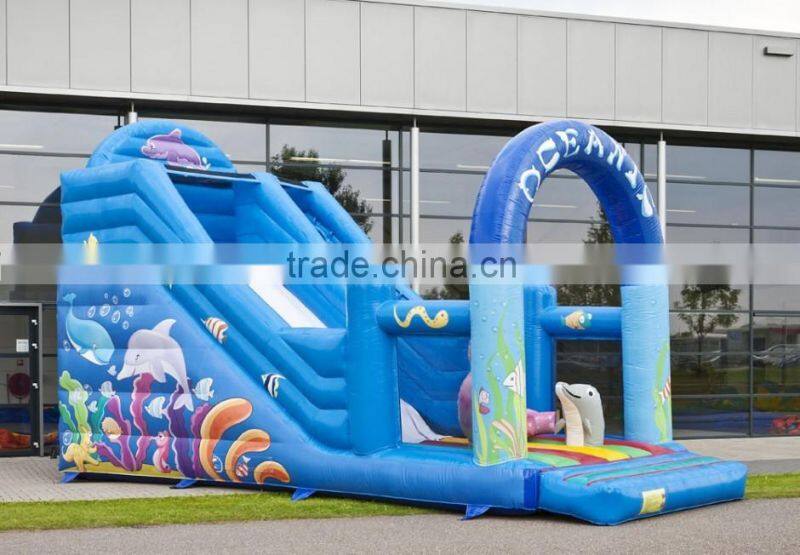 inflatable dry slide for sale, cheap price inflatable slide