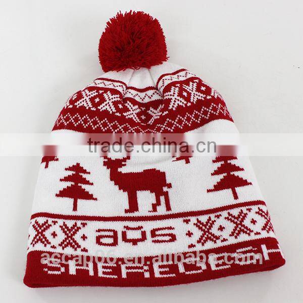 winter hat custom beanie hat