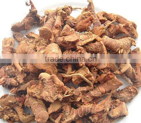 Guangdong Natural Galangal Roots