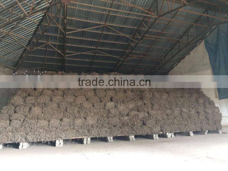 Licorice Root Exporters from India