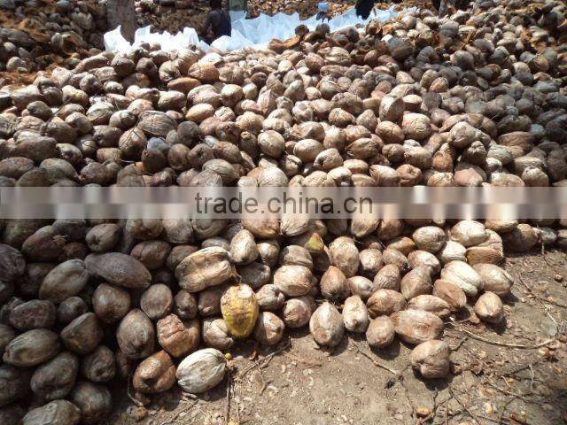 Natural Best Coconut