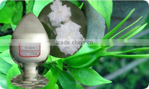 Ginkgo Biloba Plant Extract EC goods