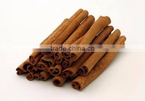 BEST OFFER FOR VIETNAM CASSIA/ CINNAMON BEST SPICES STANDARD CROP 2016