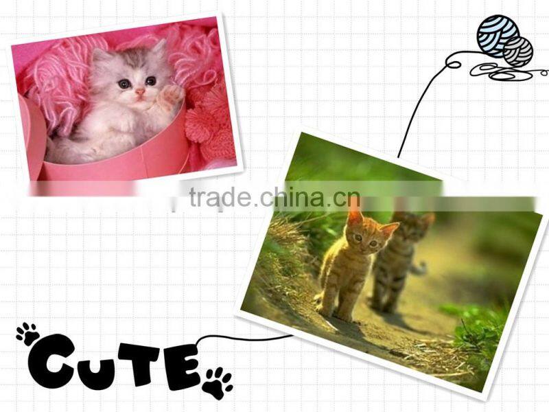 cat tree Furniture Condo