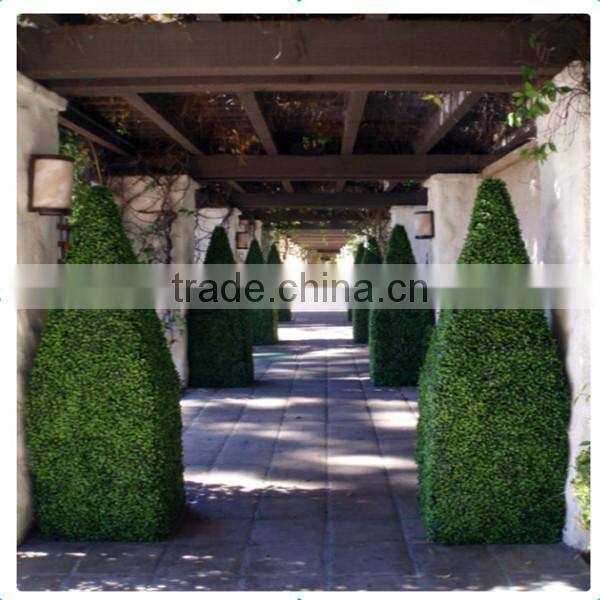 wholesale artificial green boxwood hedge for decoration in factory price