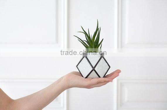 Gardening gift Cuboctahedron Cactus planter Geometric glass terrarium