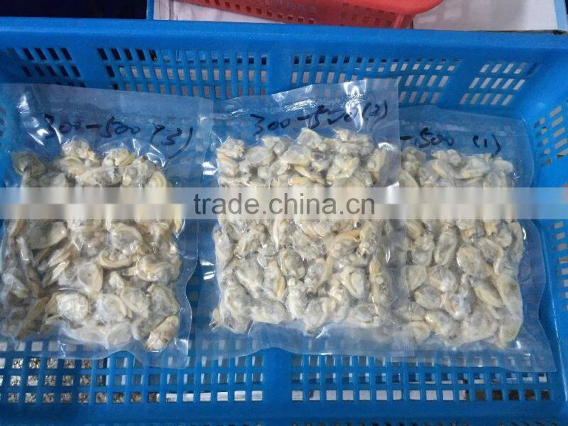 Tip-top quality frozen short necked clam meat