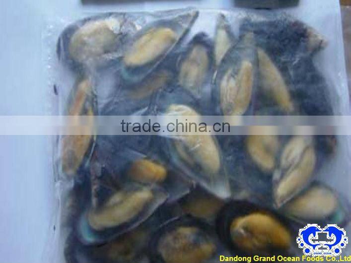 chair de moules avec demi coque