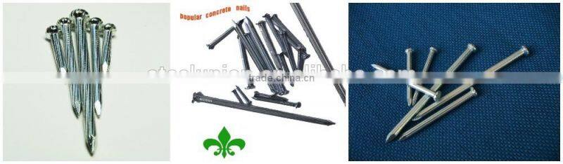 galvanized concrete steel nail/concrete nails/steel nail