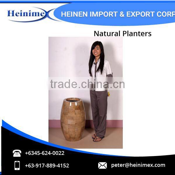 High Quality Fiberglass and Dried Banana Leaves Made Planters for Wholesale
