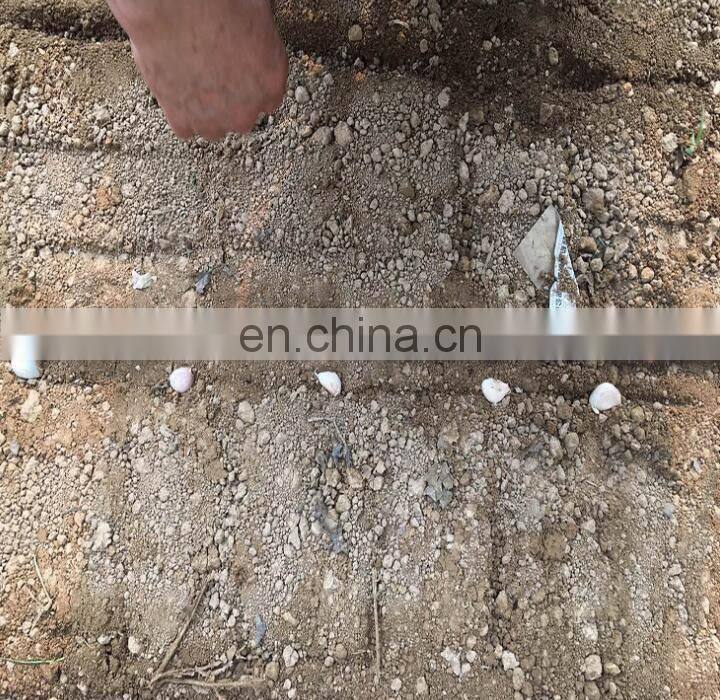 4-8 row seeder Peanut/ Garlic Planter / Planting Machine with Tractor