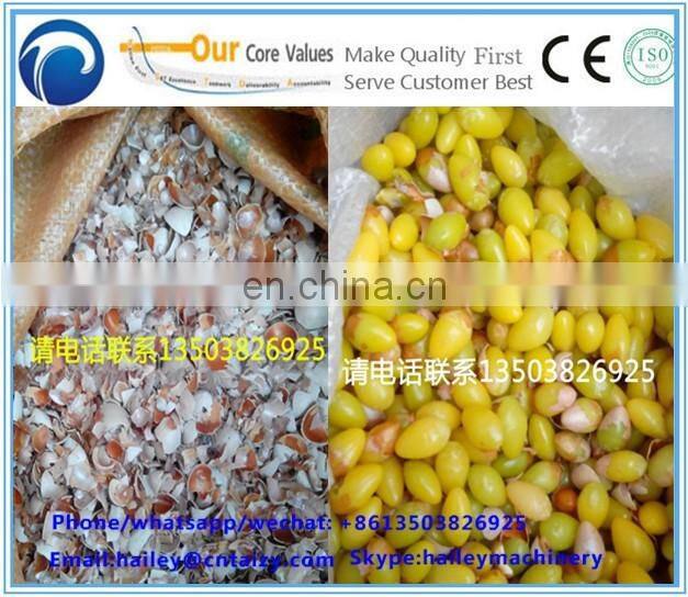 Best Quality Ginkgo nuts shelling machine/Gingko Peeling machine