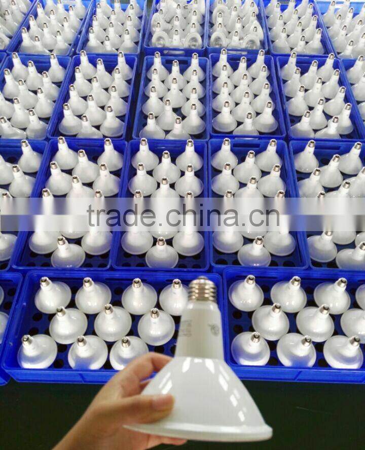 Spot Light Bulb LED par30