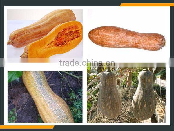 Leader pineapple peel and pulp separater with low power consumption