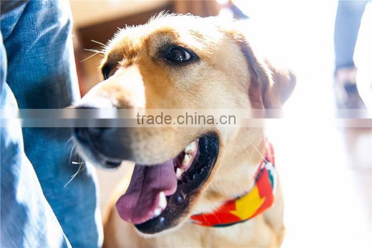 New collections braces skirt