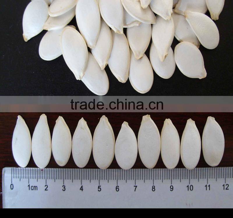 sweet melon seed china supplier