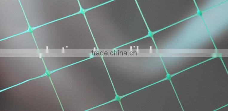 plastic net/plastic netting