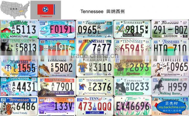 European reflective car license plate