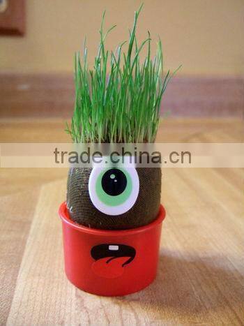 DIY grass head dolls plants for birthday gift