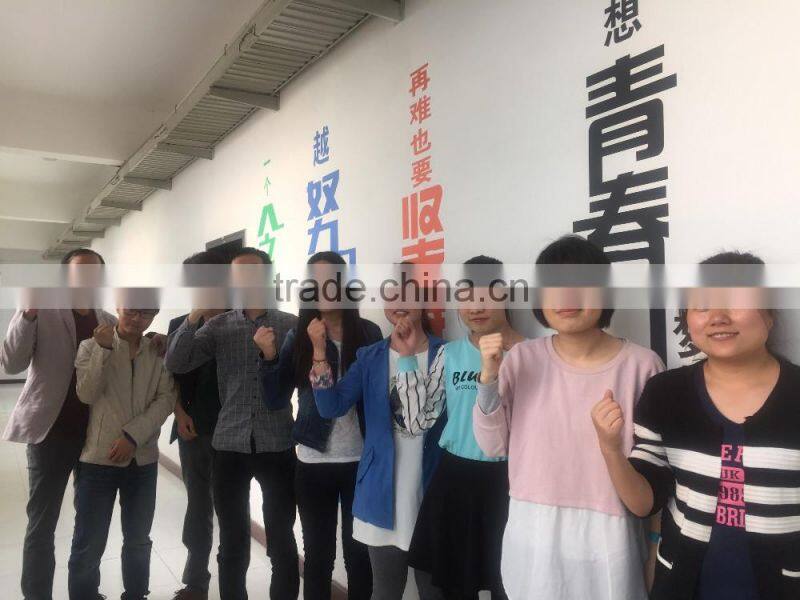 12V China CE Certificate Approved electric trolling motor