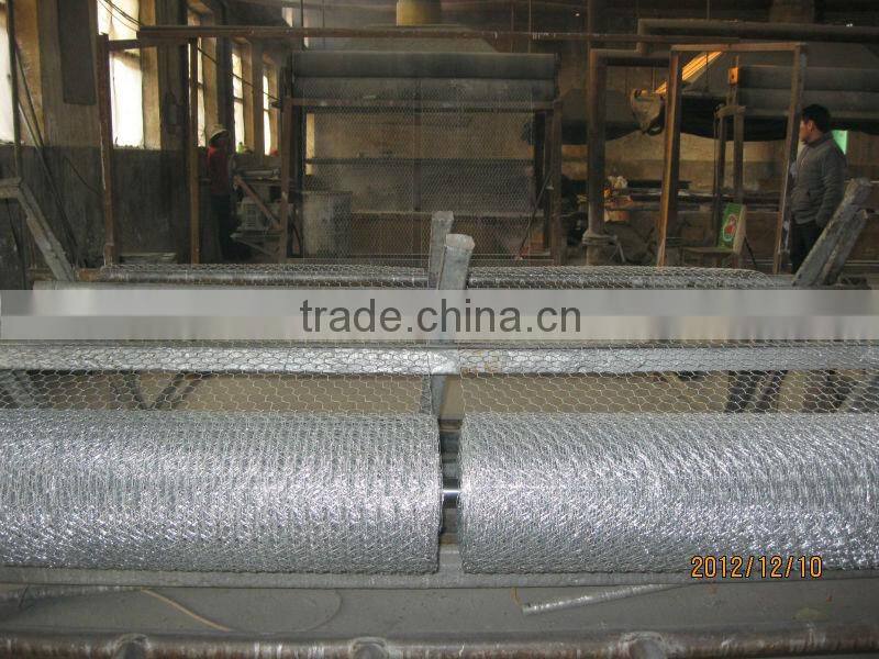 chicken coop hexagonal wire nettings fencing