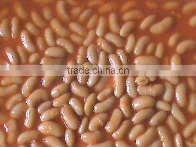 white kidney beans in tomato sauce