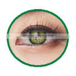 Romance Korea color contact lens monthly free style wholesale colored contacts