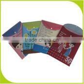 a4 size pp file folder