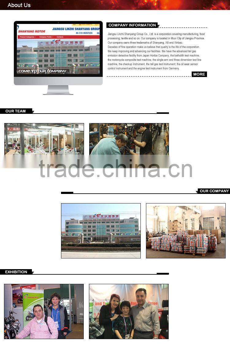 three wheel motorcycle Cargo