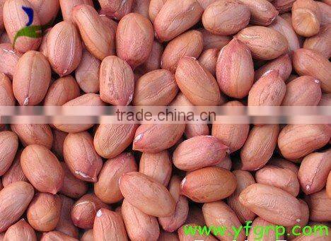 Blanched peanut kernels, peanuts in shell, roasted peanut inshell
