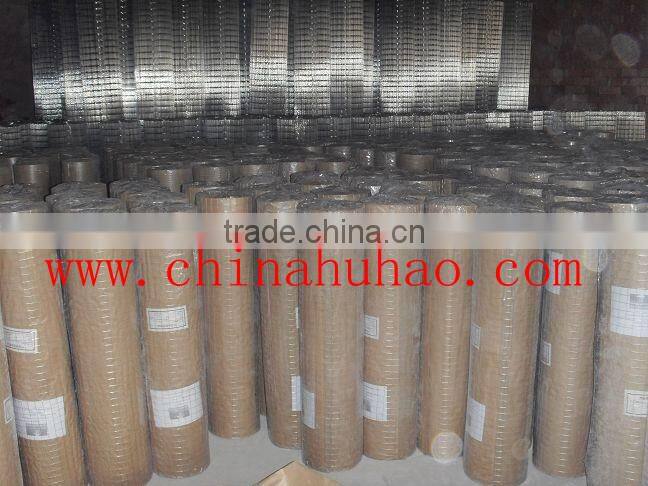 Welded wire mesh ( Electro or hot dipped galvanized )