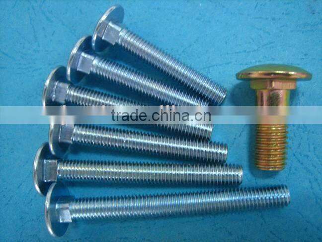 carriage bolt