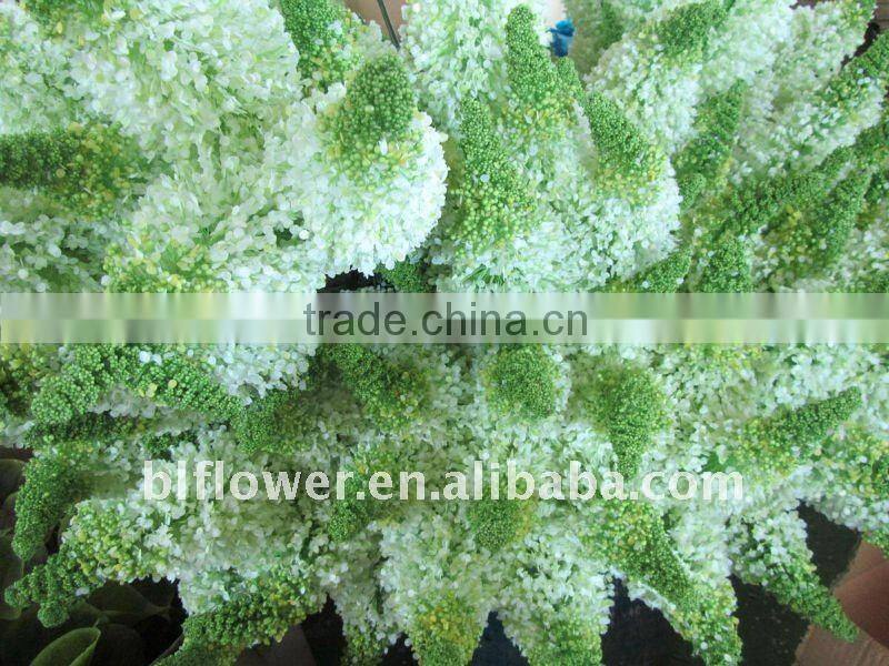 plastic eremurus foxtail