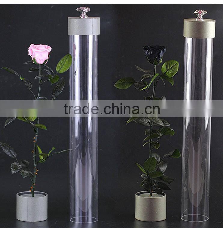 2016 Yiwu Aimee wholesale fresh colorful preserved flower(AM-PF08)