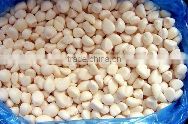 IQF peeled garlic for sale / frozen garlic for export