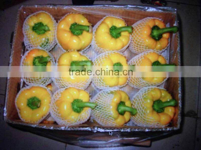 Fresh Red/Yellow Pepper