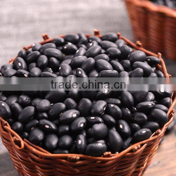 low price of black kidney beans for selling and export