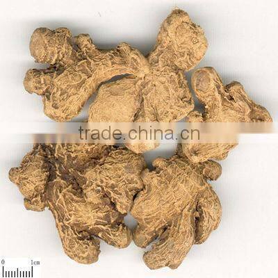 African Hot Selling Dry Ginger whole