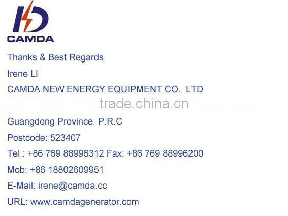 Camda Factory biogas generator sets with/without canopy 250kw biogas generator