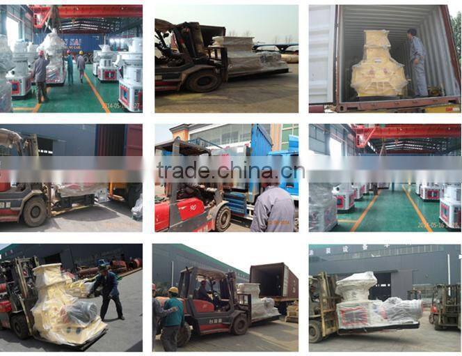 Complete chicken poultry feed producing line for goats