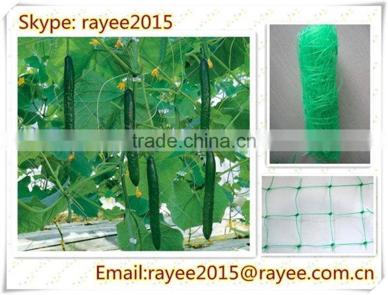 Climbing plant support trellis netting/plant support netting/fagioli e piselli rete