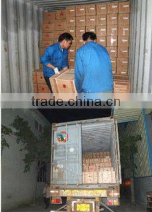 RV speed reducers Motovario version with motor mounted