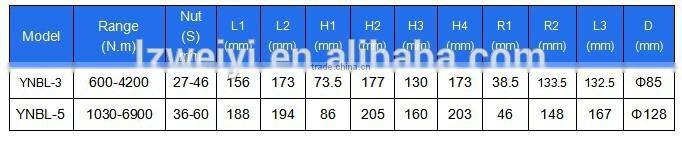 HYDRAULIC TORQUE WRENCH WITH ELONGATOR