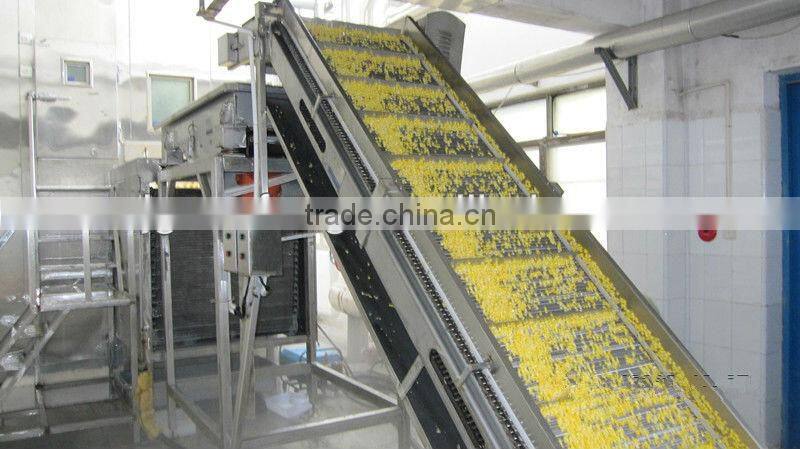 GP-I Pre-treatment Production Line for Quick Frozen Vegetable