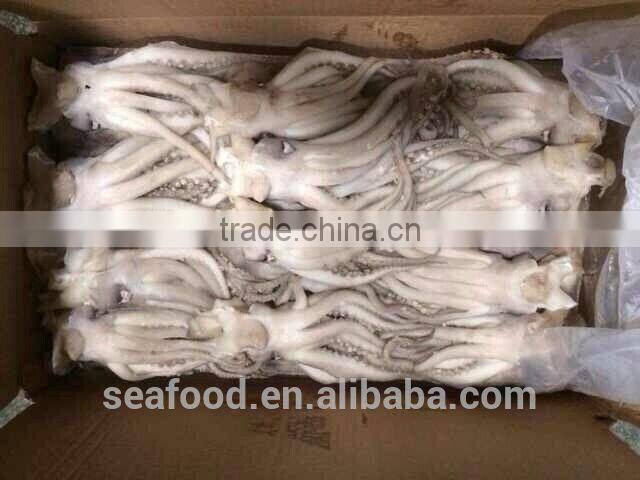 Frozen squid tentacles/squid head from food distributors