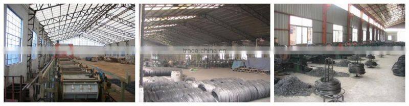 flat head shoe tacks nails/Cheap Shoe Tack Nails/ Linyi Nails