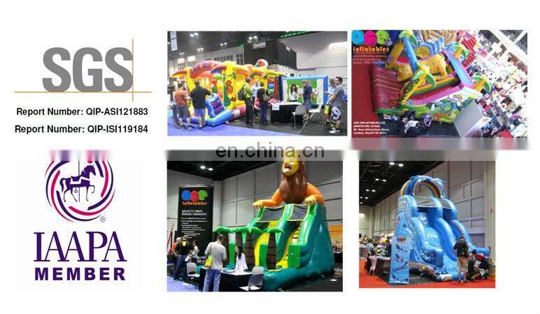 largest giant inflatable water slide